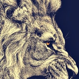 Meet your Posher, Joe